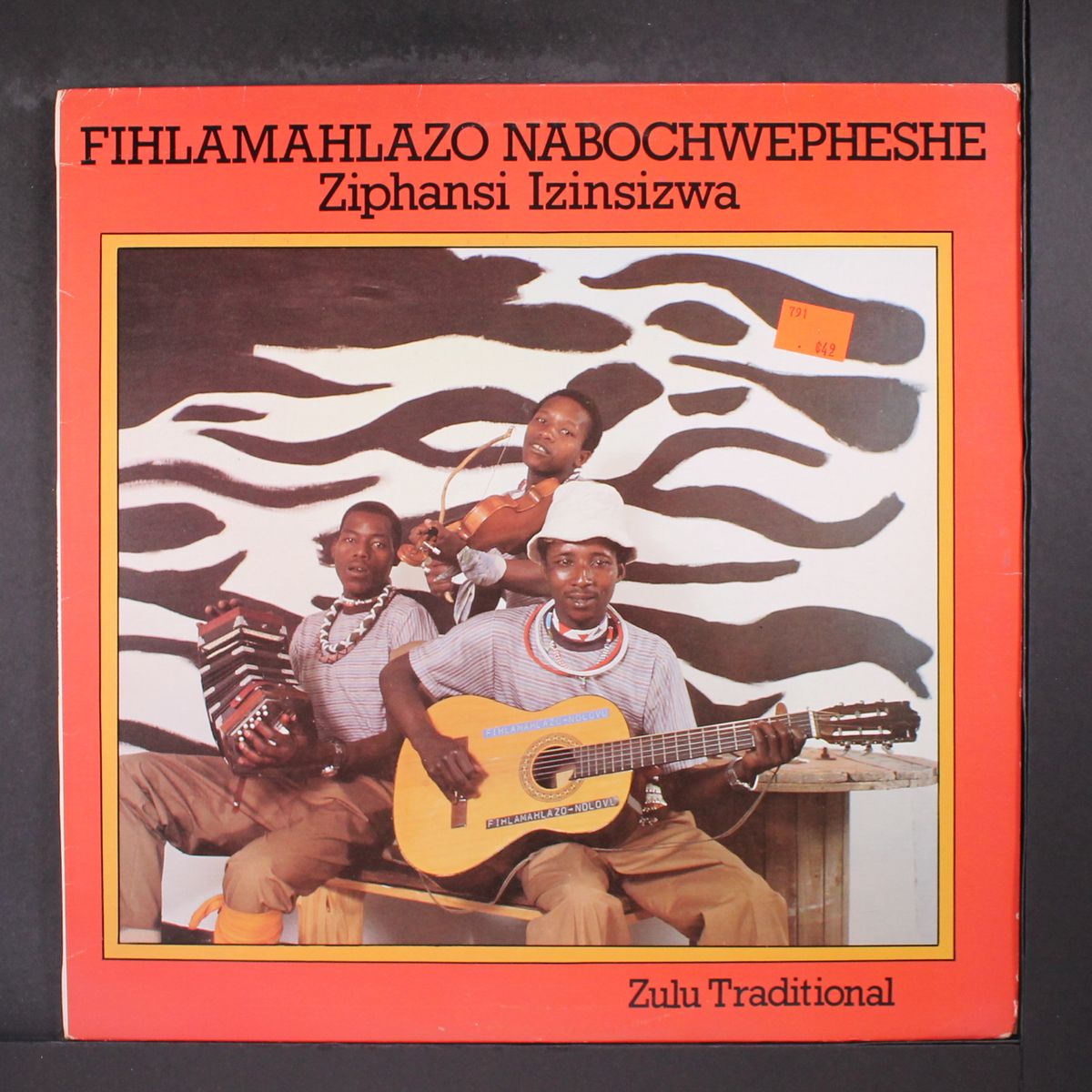 ziphansi izinsizwa by FIHLAMAHLAZO NABOCHWEPHESHE