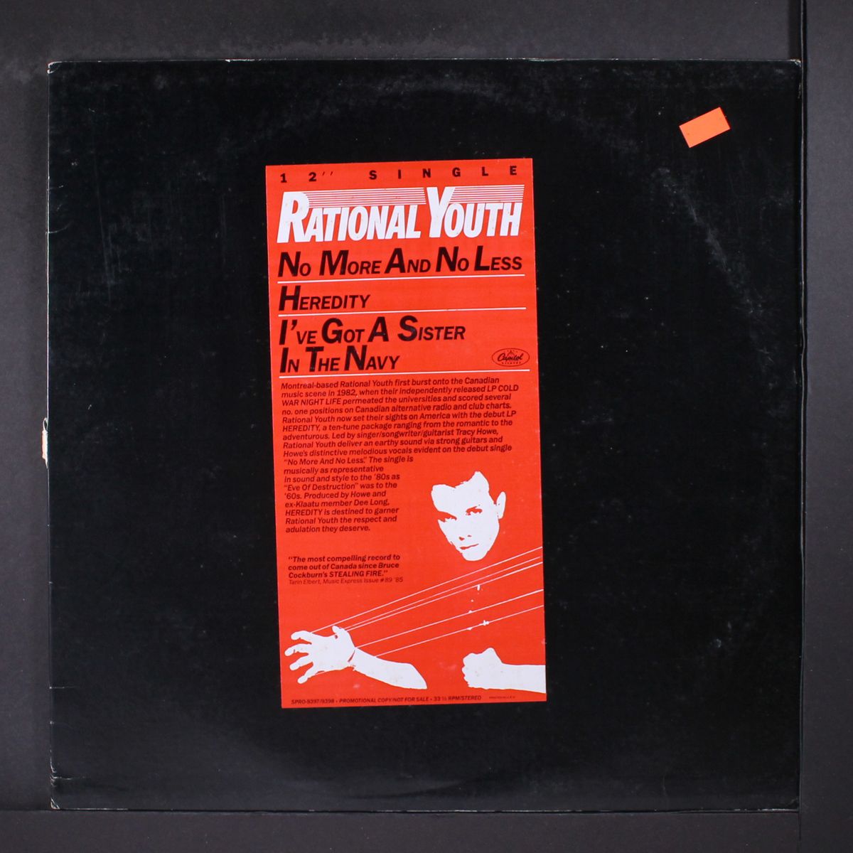 no more and no less / heredity / i've got a sister in the navy by RATIONAL YOUTH