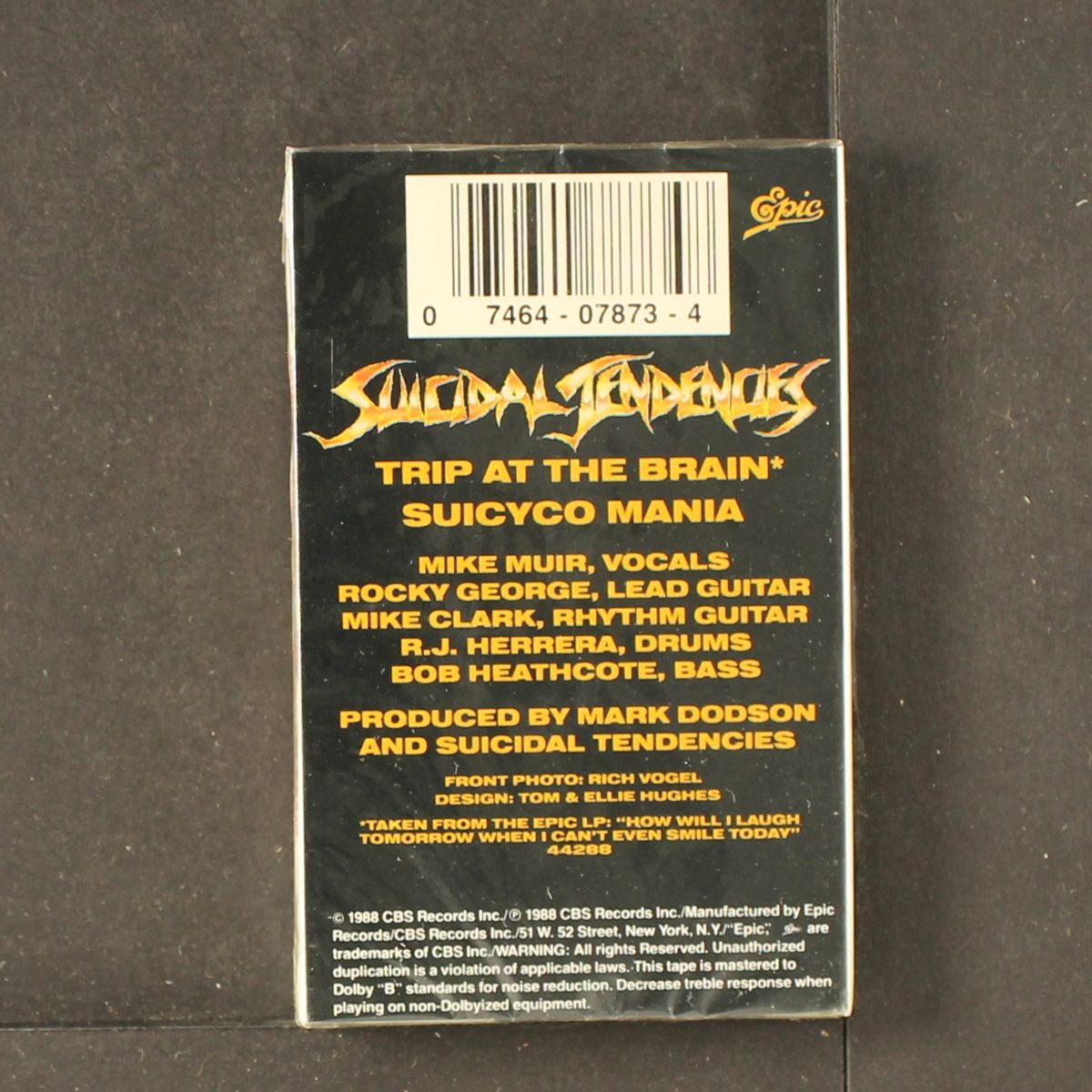 trip at the brain by SUICIDAL TENDENCIES