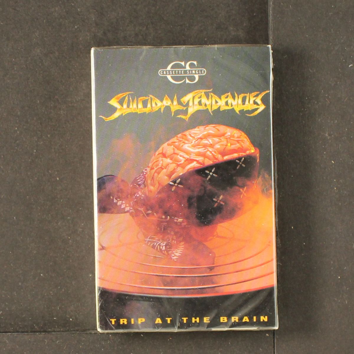 trip at the brain by SUICIDAL TENDENCIES