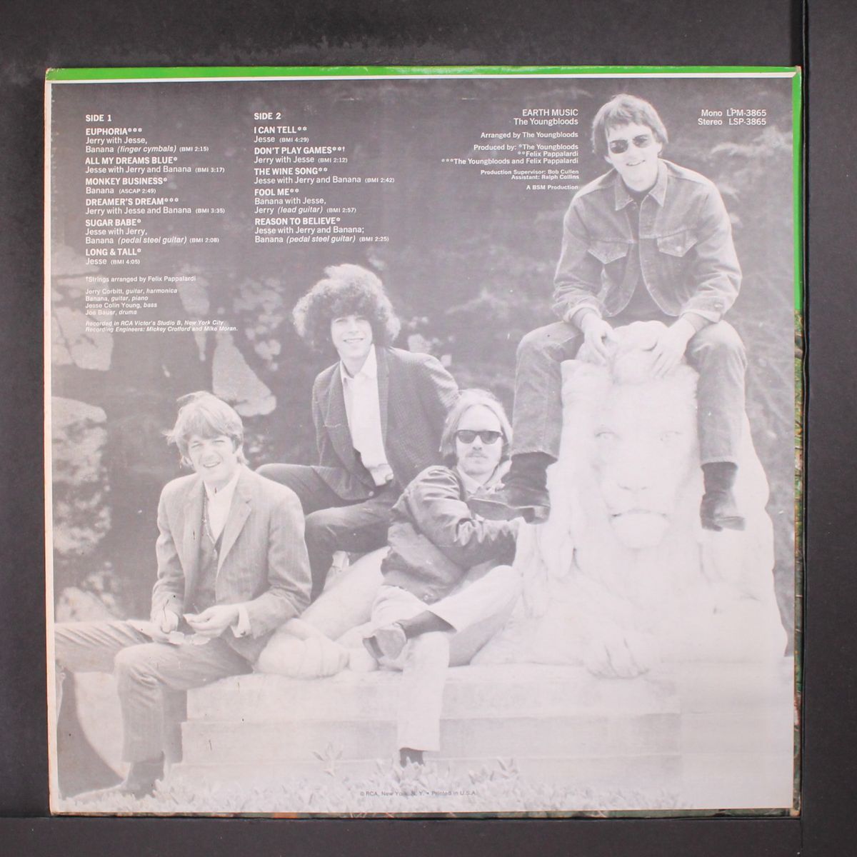 earth music by YOUNGBLOODS