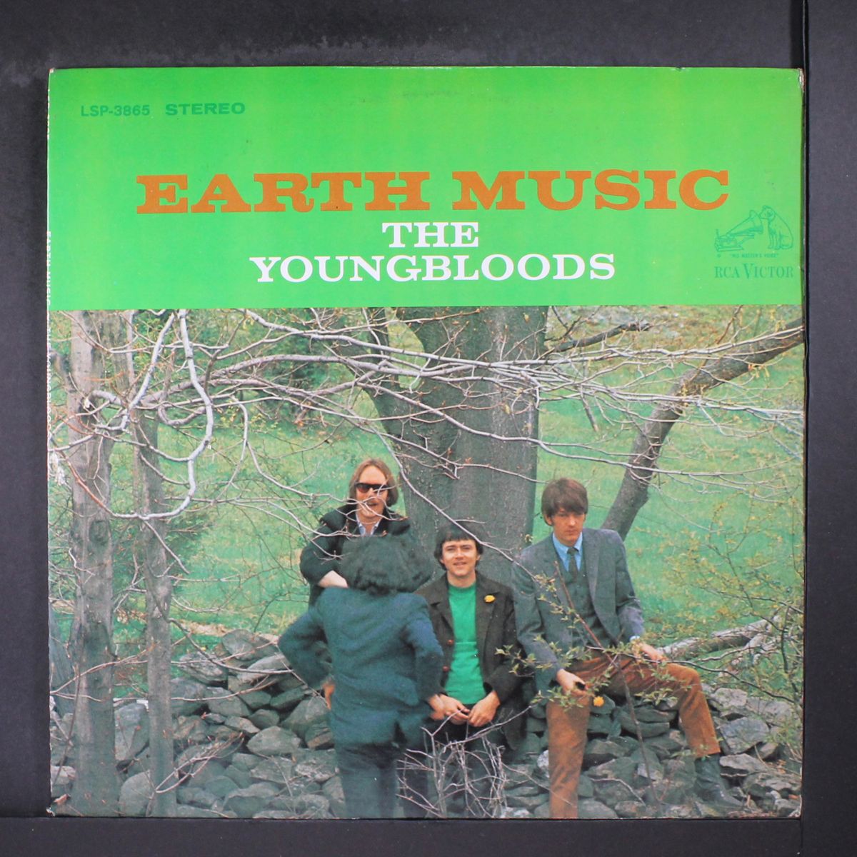 earth music by YOUNGBLOODS