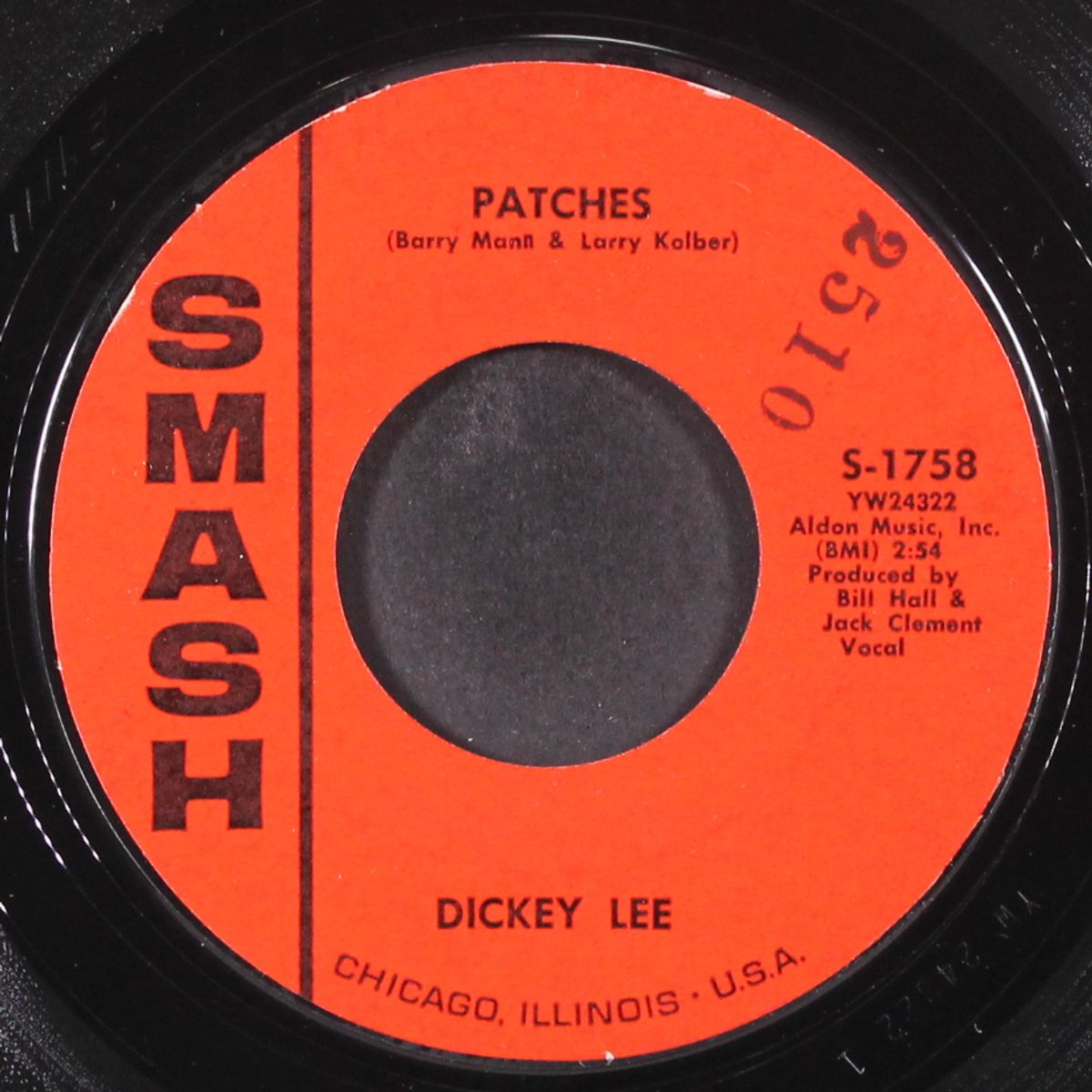 patches / more or less by DICKEY LEE