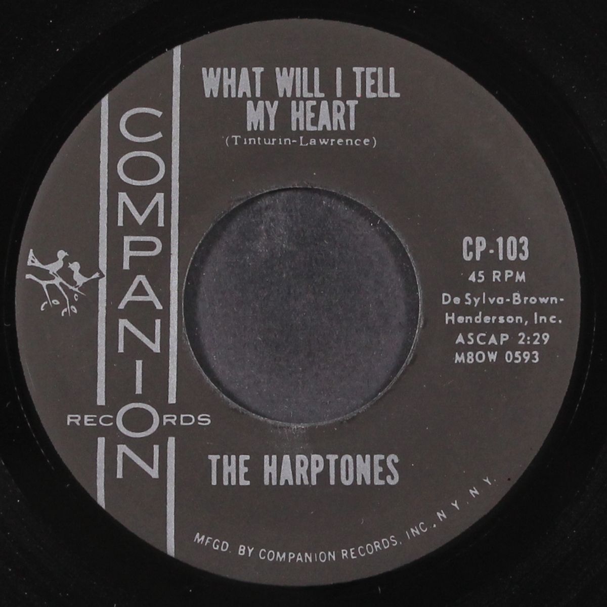 foolish me / what will i tell my heart by HARPTONES