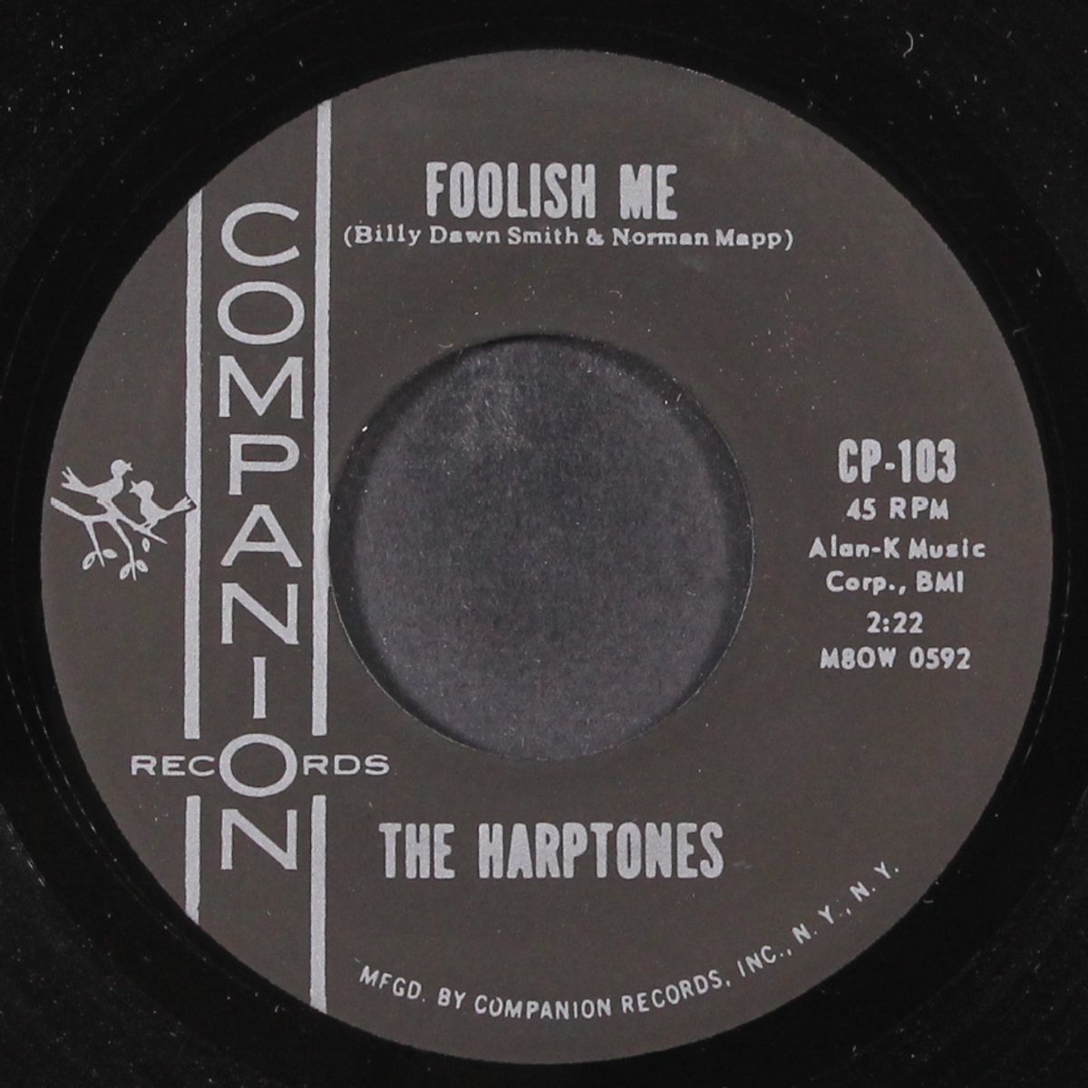 foolish me / what will i tell my heart by HARPTONES