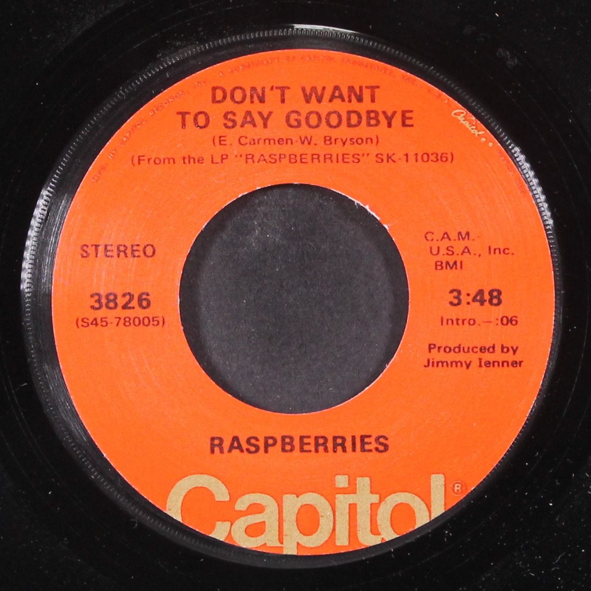 ecstacy / don't want to say goodbye by RASPBERRIES