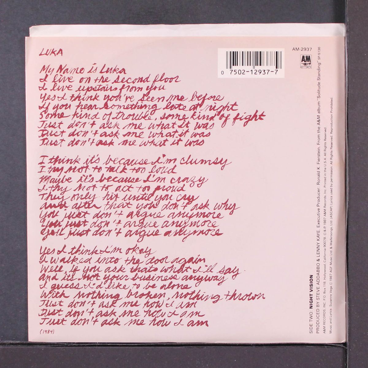 luka / night vision by SUZANNE VEGA