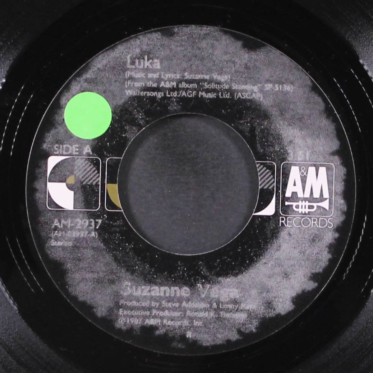 luka / night vision by SUZANNE VEGA