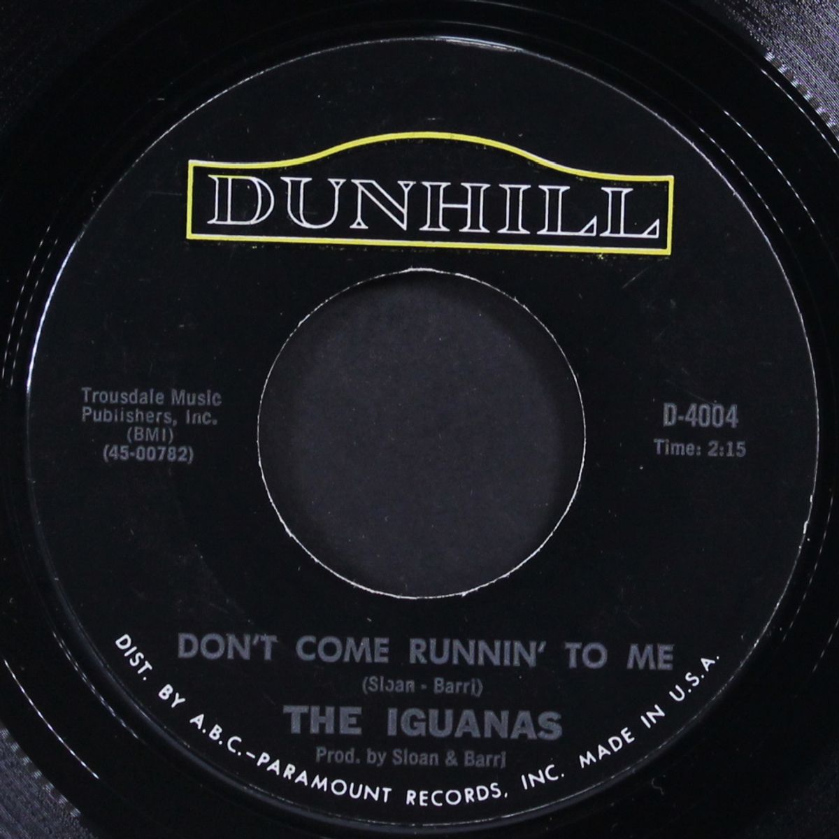 diana / this is what i was made for by IGUANAS