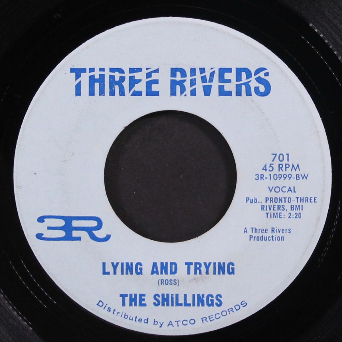 lying and trying / children & flowers by SHILLINGS