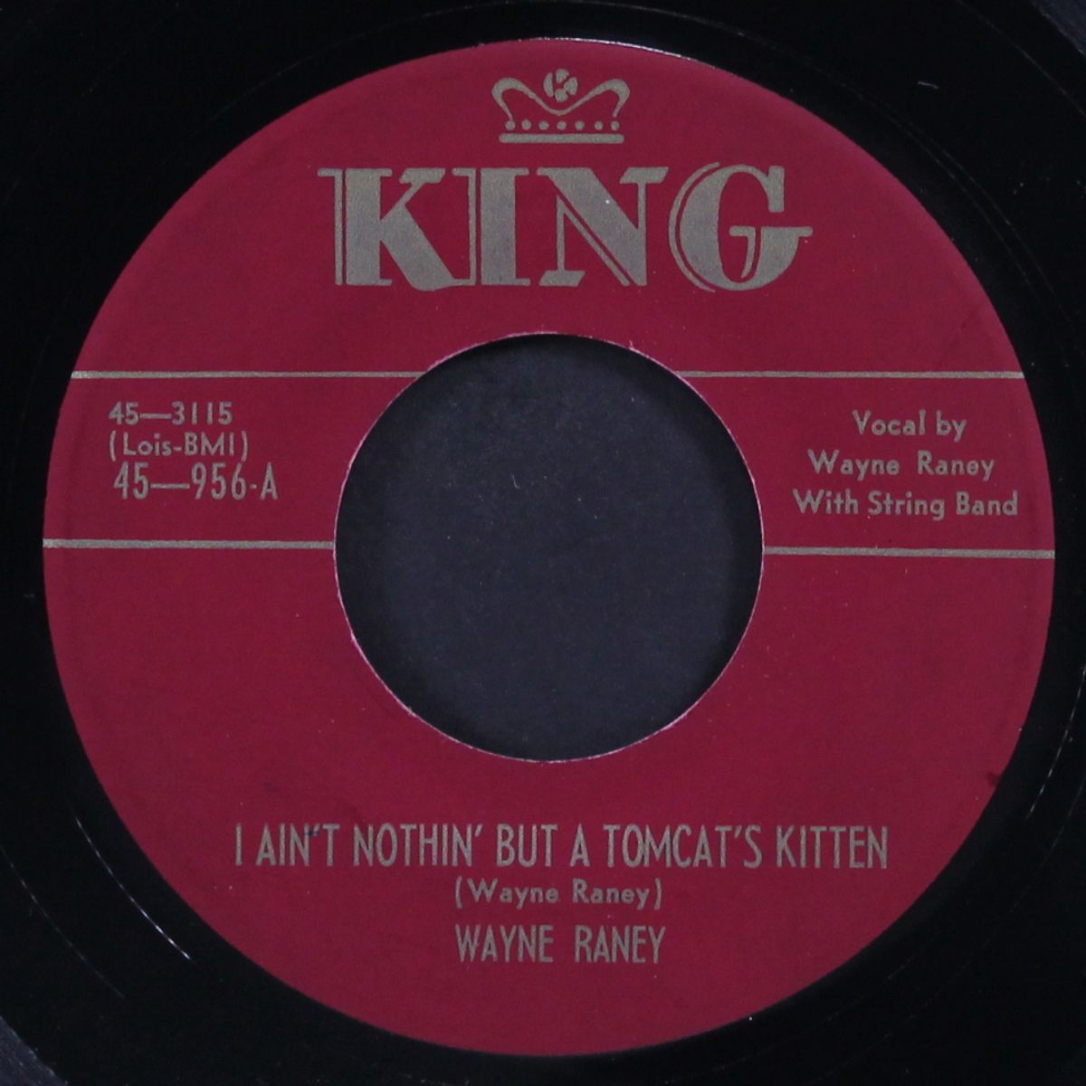 i ain't nothin' but a tomcat's kitten by WAYNE RANEY