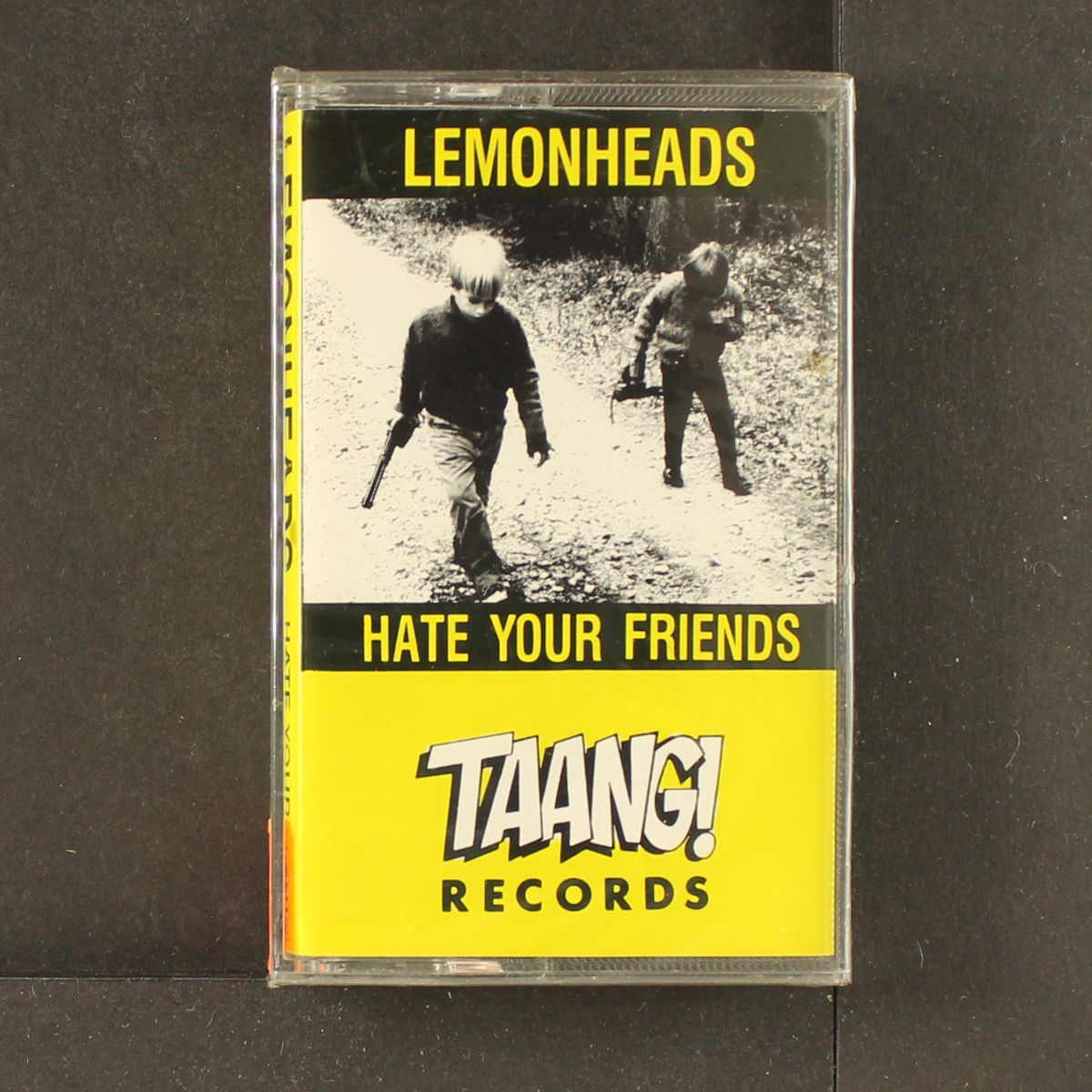 hate your friends by LEMONHEADS