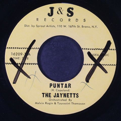 JAYNETTS