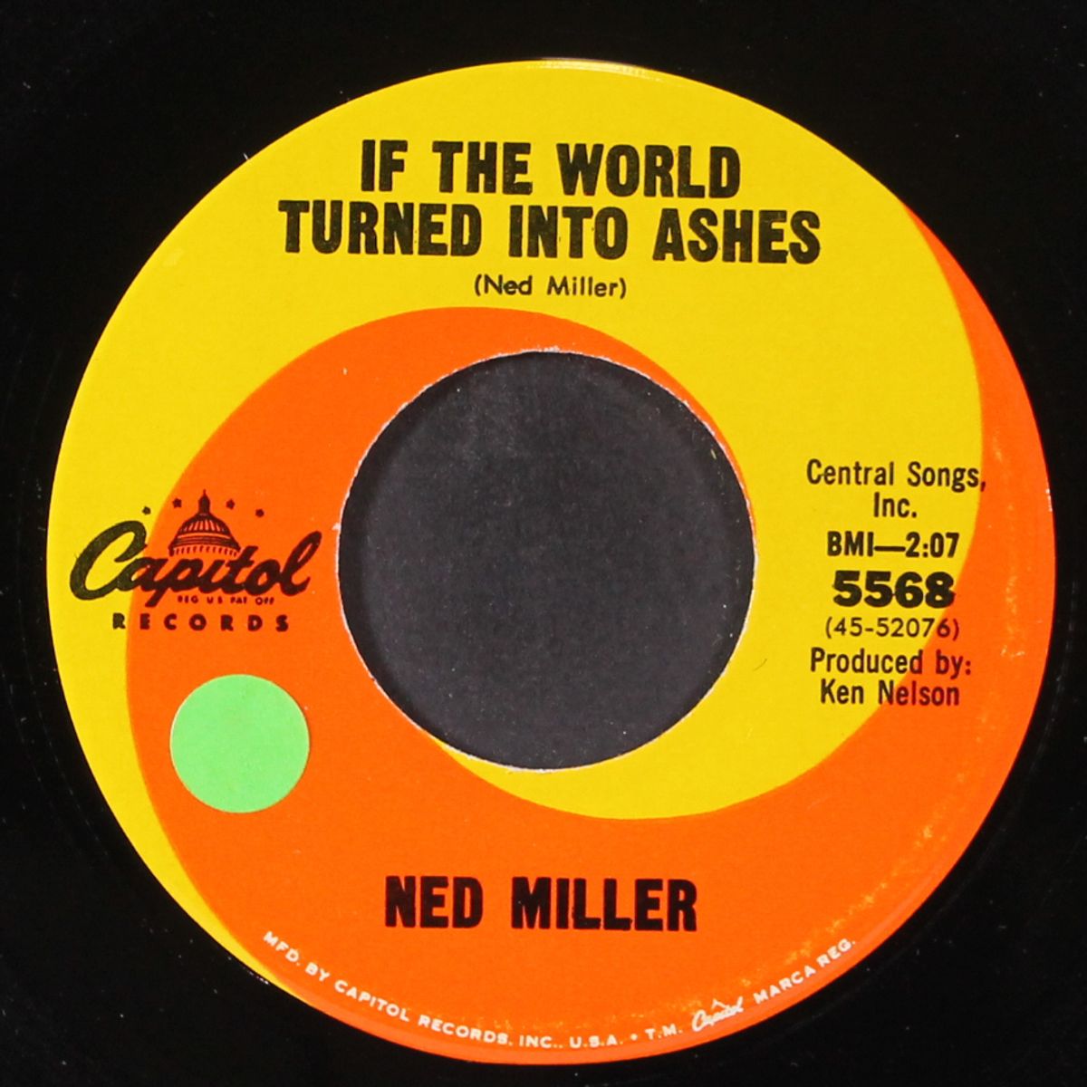 if the world turned into ashes by NED MILLER