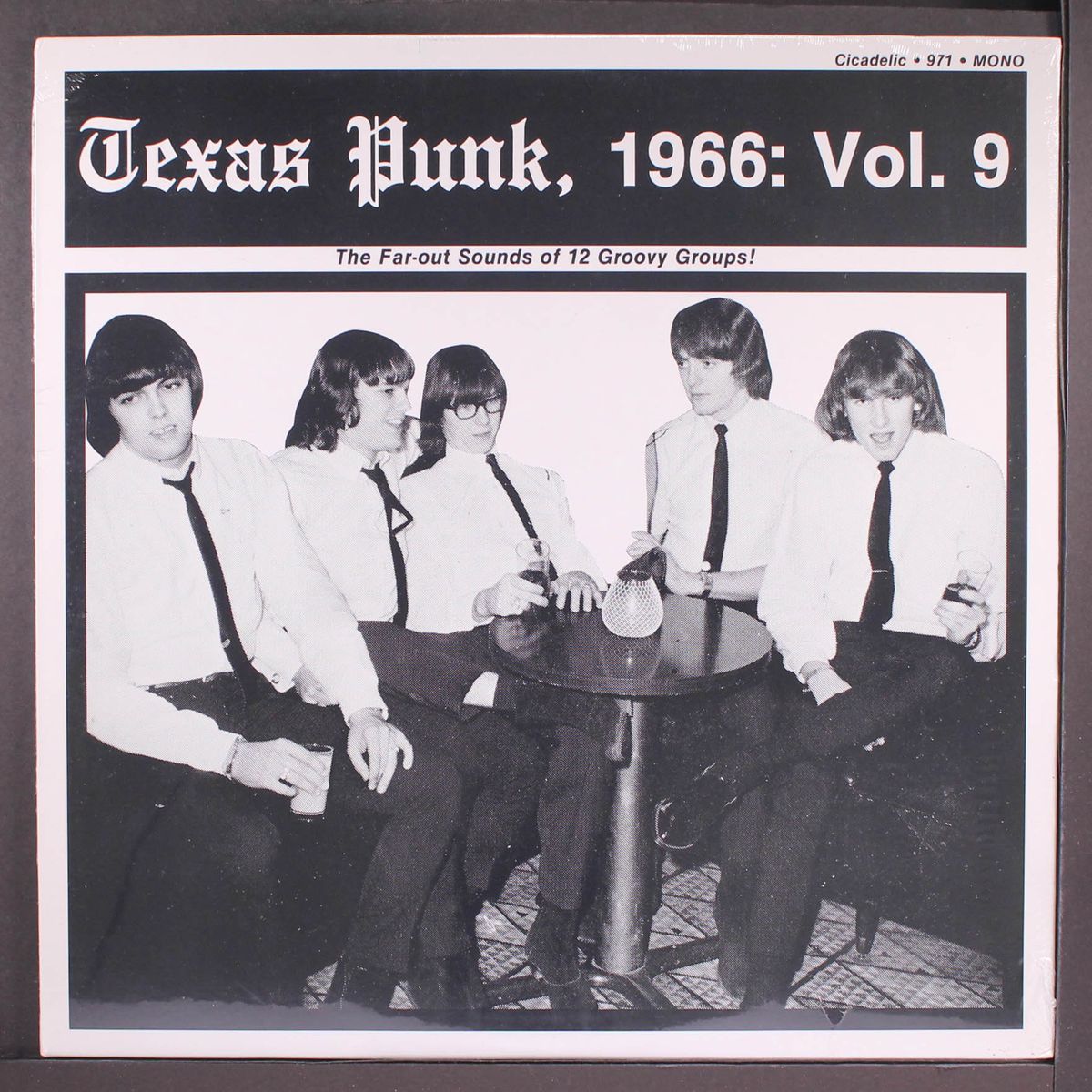 texas punk 1966, vol. 9: the far-out sounds of 12 groovy groups by VARIOUS