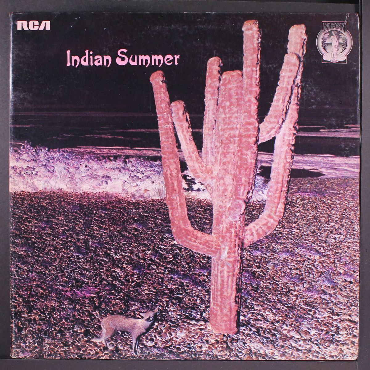 indian summer by INDIAN SUMMER