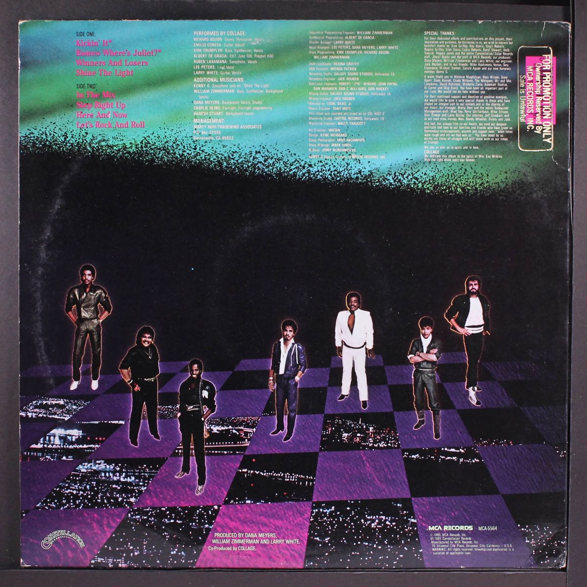 shine the light by COLLAGE
