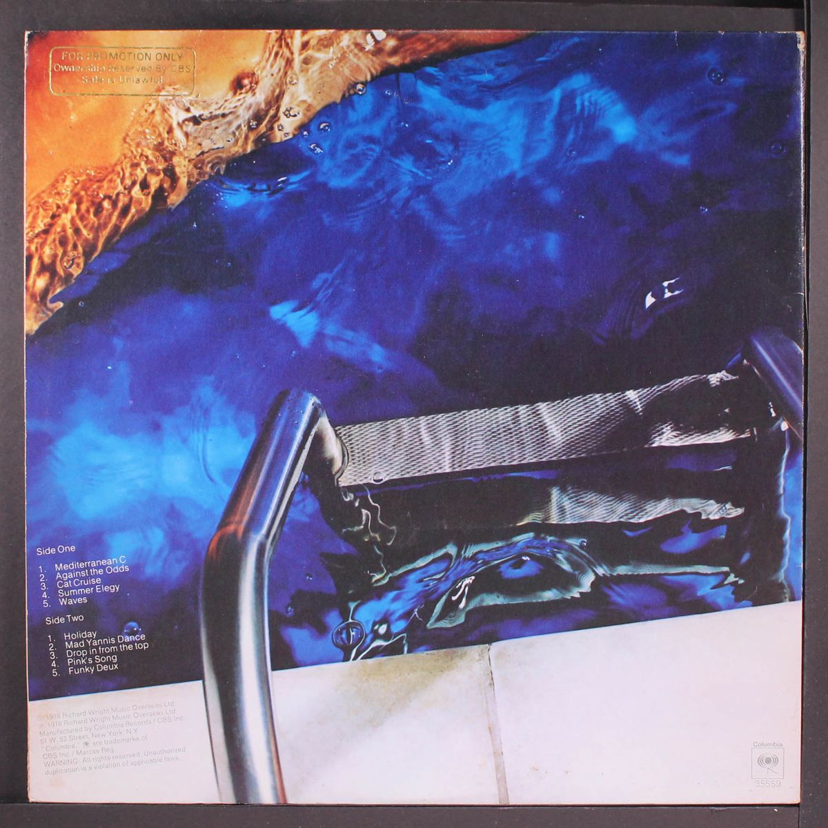 wet dream by RICHARD WRIGHT