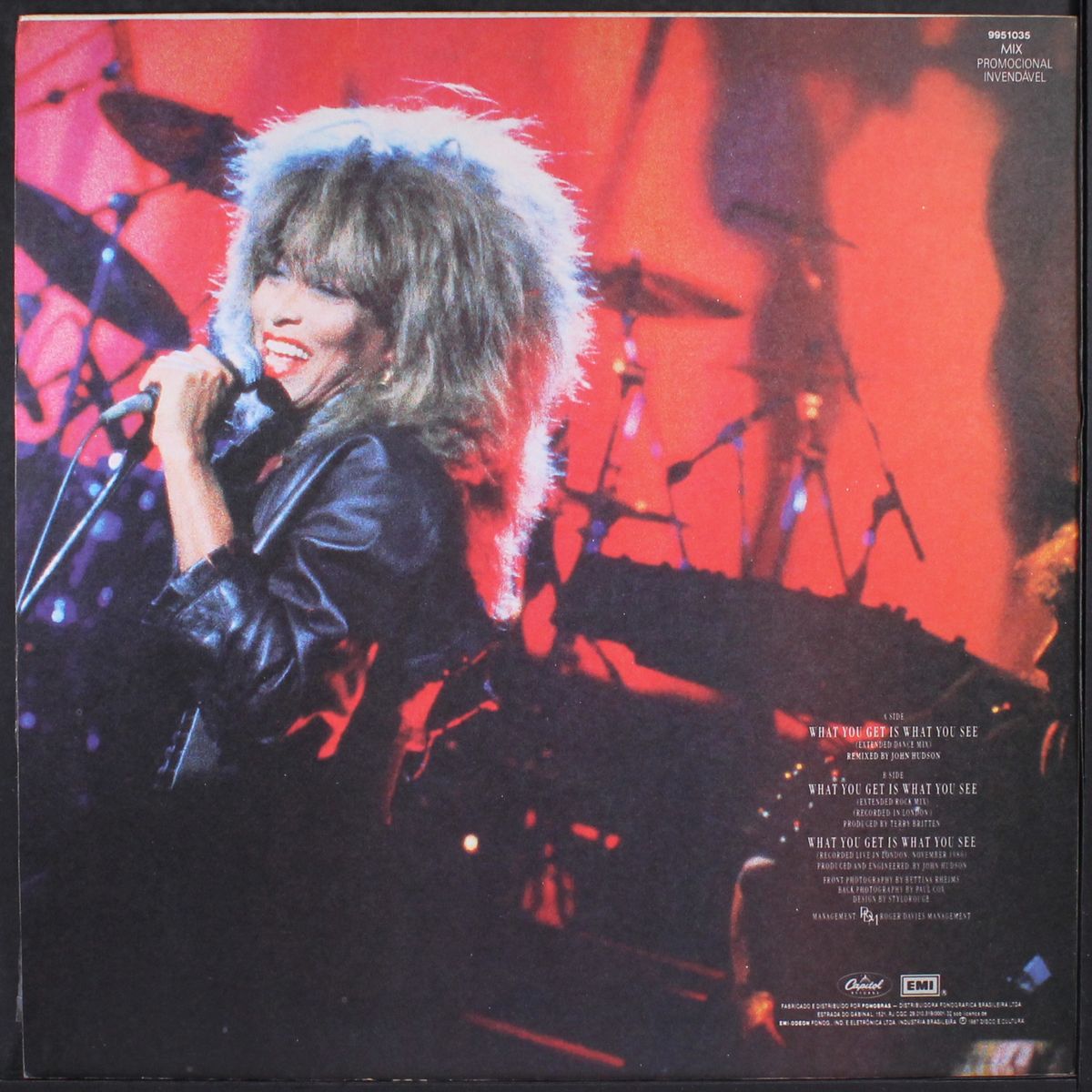 what you get is what you see by TINA TURNER