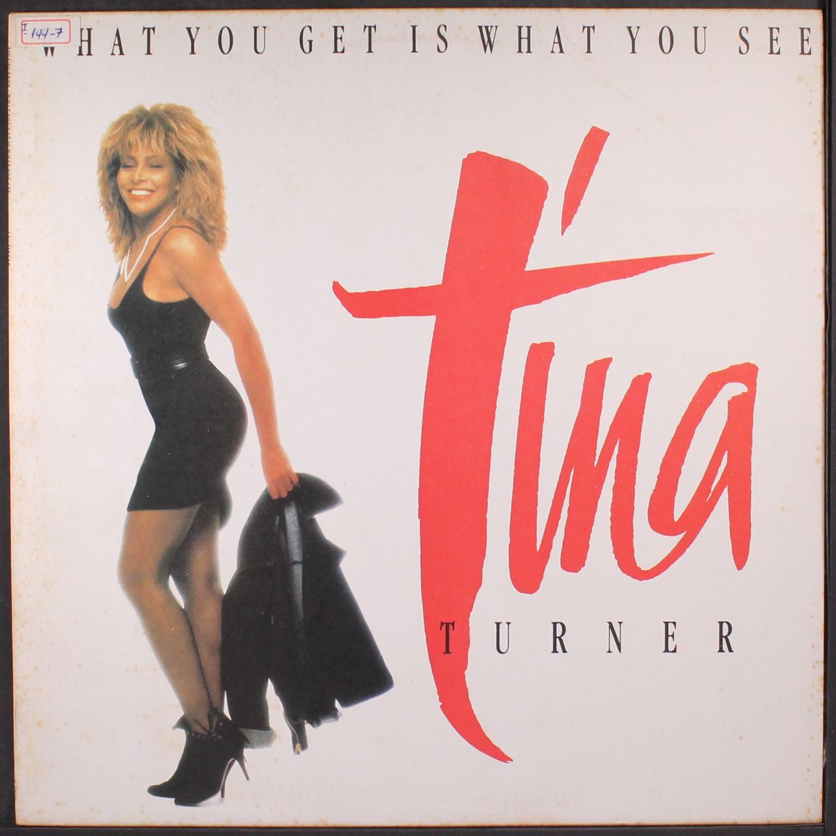 what you get is what you see by TINA TURNER