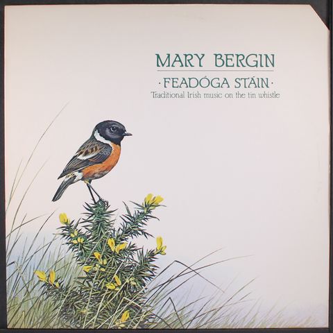 MARY BERGIN