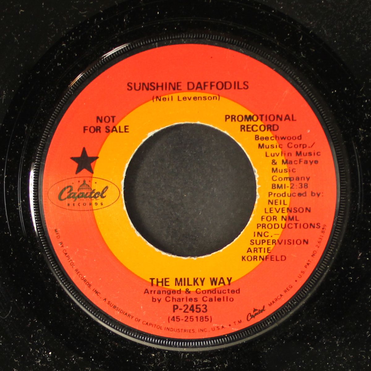 sunshine daffodils / your love comes shinin' through by MILKY WAY