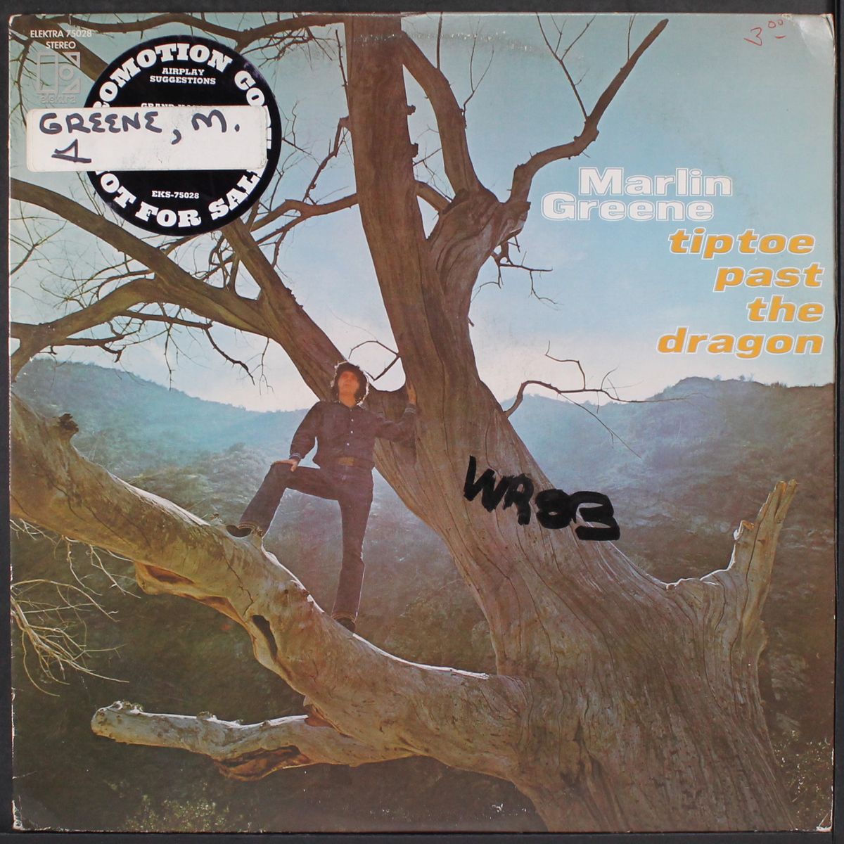 tiptoe past the dragon by MARLIN GREENE