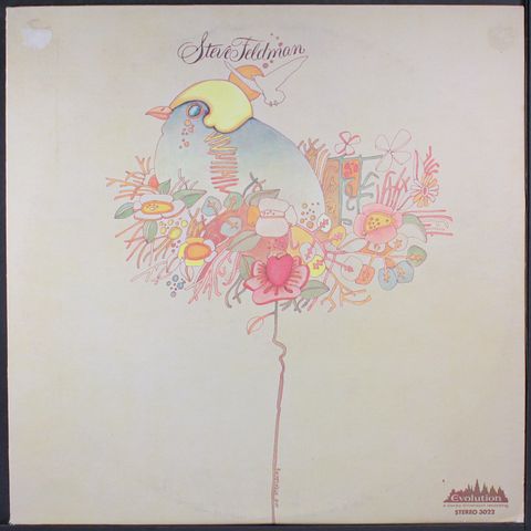 STEVE FELDMAN