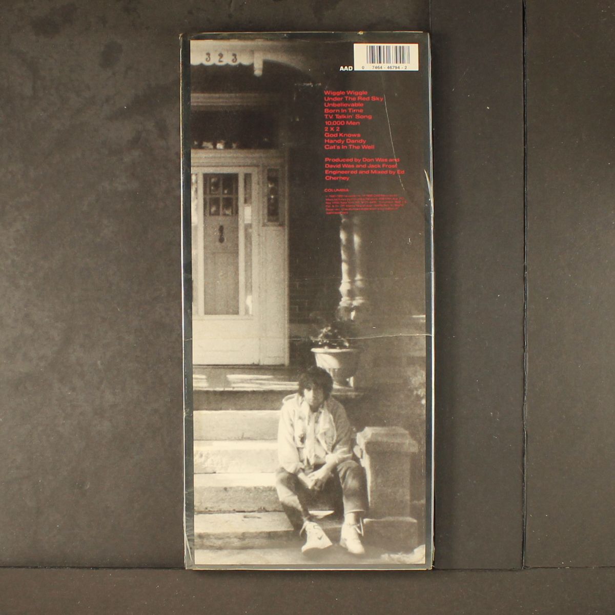 under the red sky by BOB DYLAN