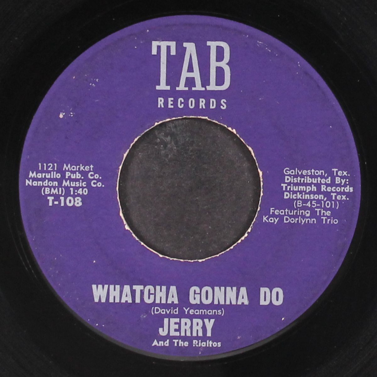 whatcha gonna do / it's all in fun by JERRY & RIALTOS
