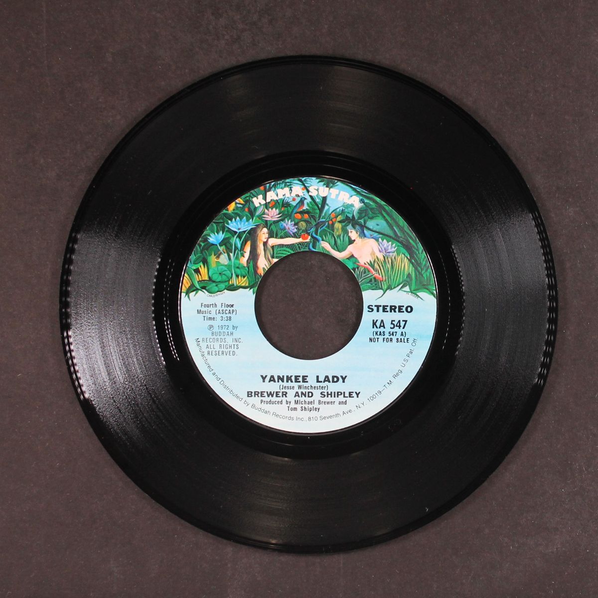 yankee lady by BREWER & SHIPLEY