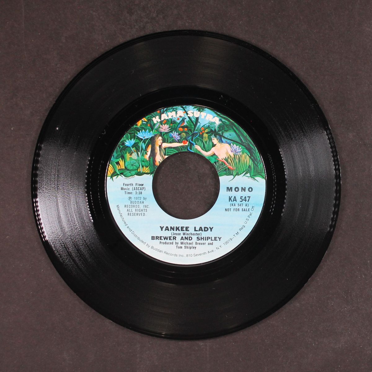 yankee lady by BREWER & SHIPLEY