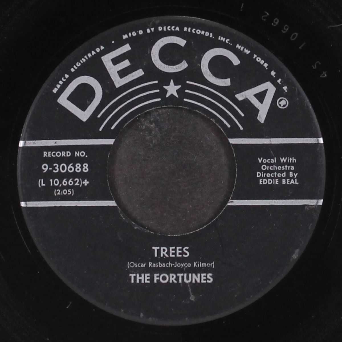 how clever of you / trees by FORTUNES