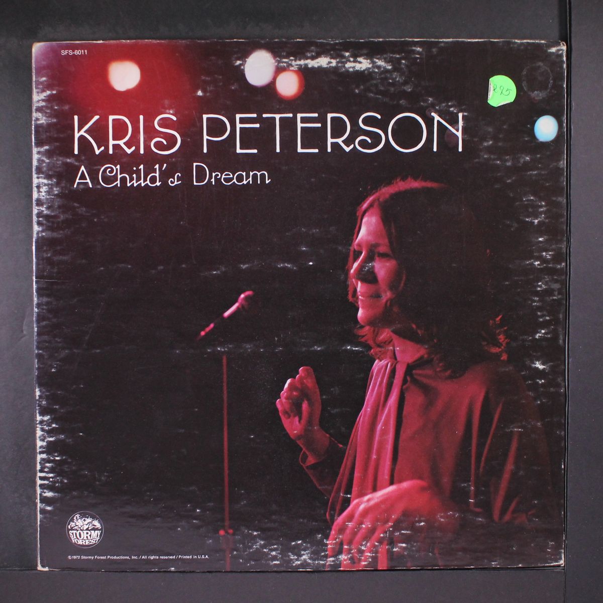 a child's dream by KRIS PETERSON