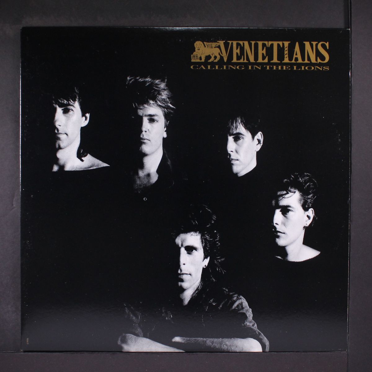 calling in the lions by VENETIANS