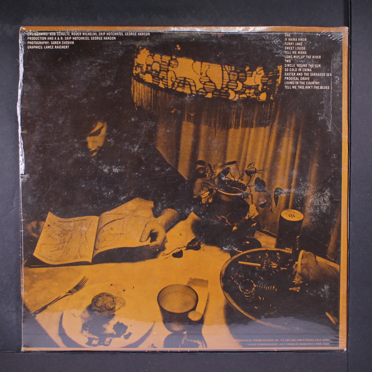 circle 'round the sun by LEO KOTTKE