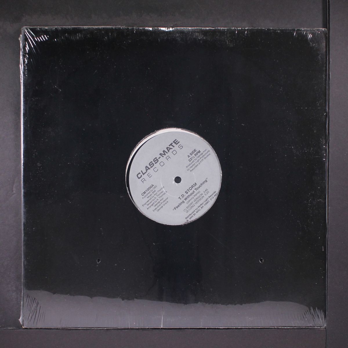 feeling without touching / she's mine by T.D. STORM