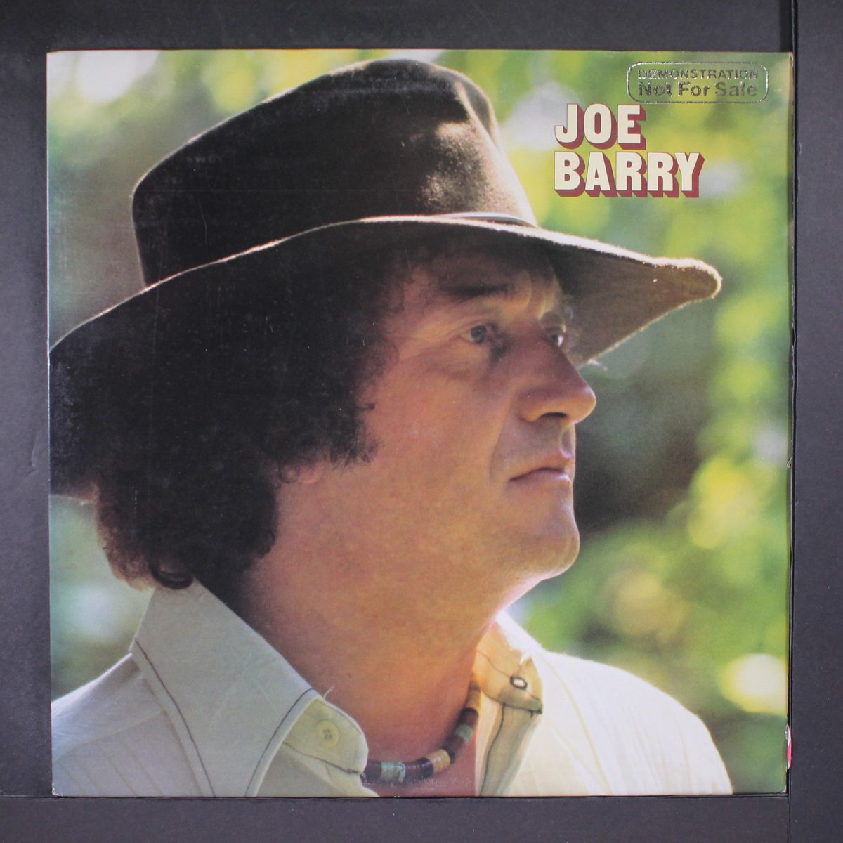 joe barry by JOE BARRY