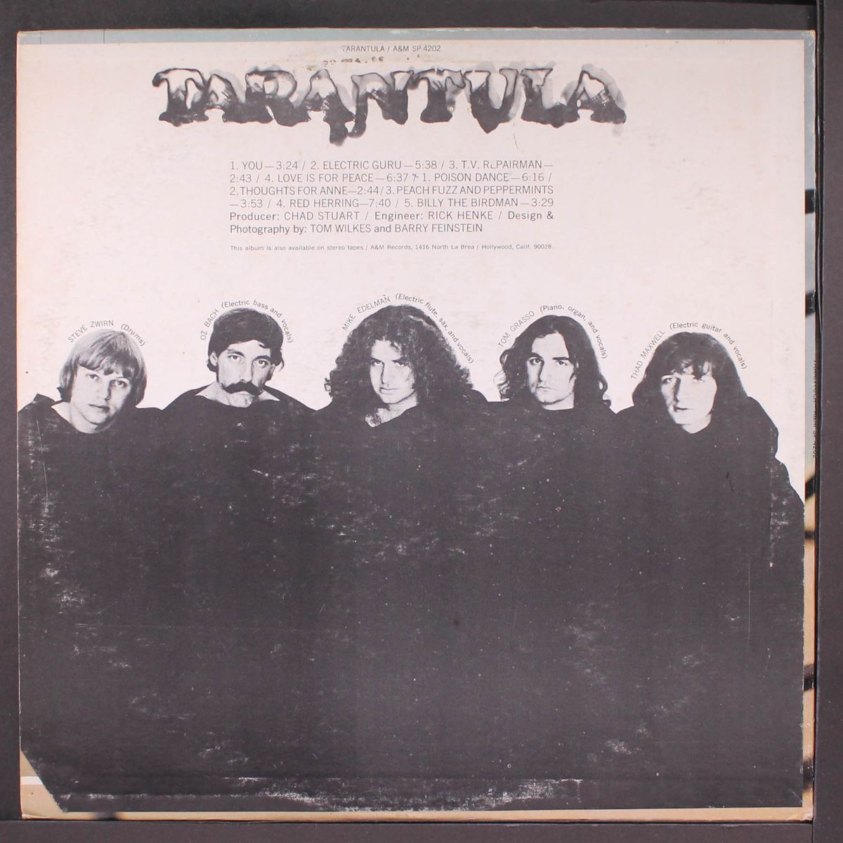 tarantula by TARANTULA
