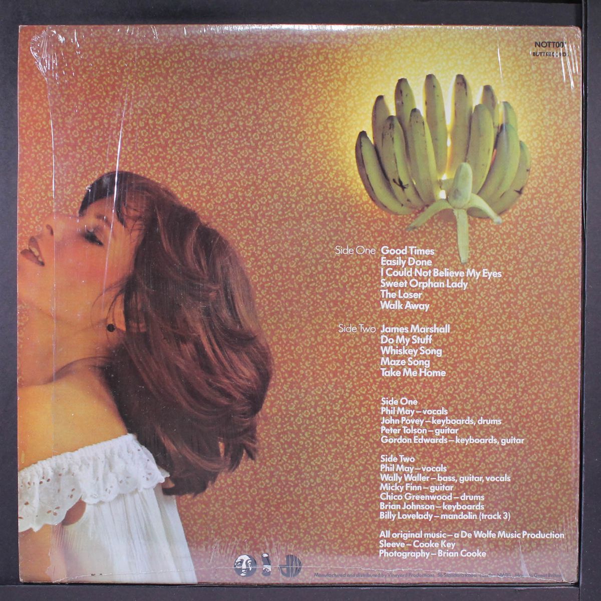 electric banana, the seventies by PRETTY THINGS