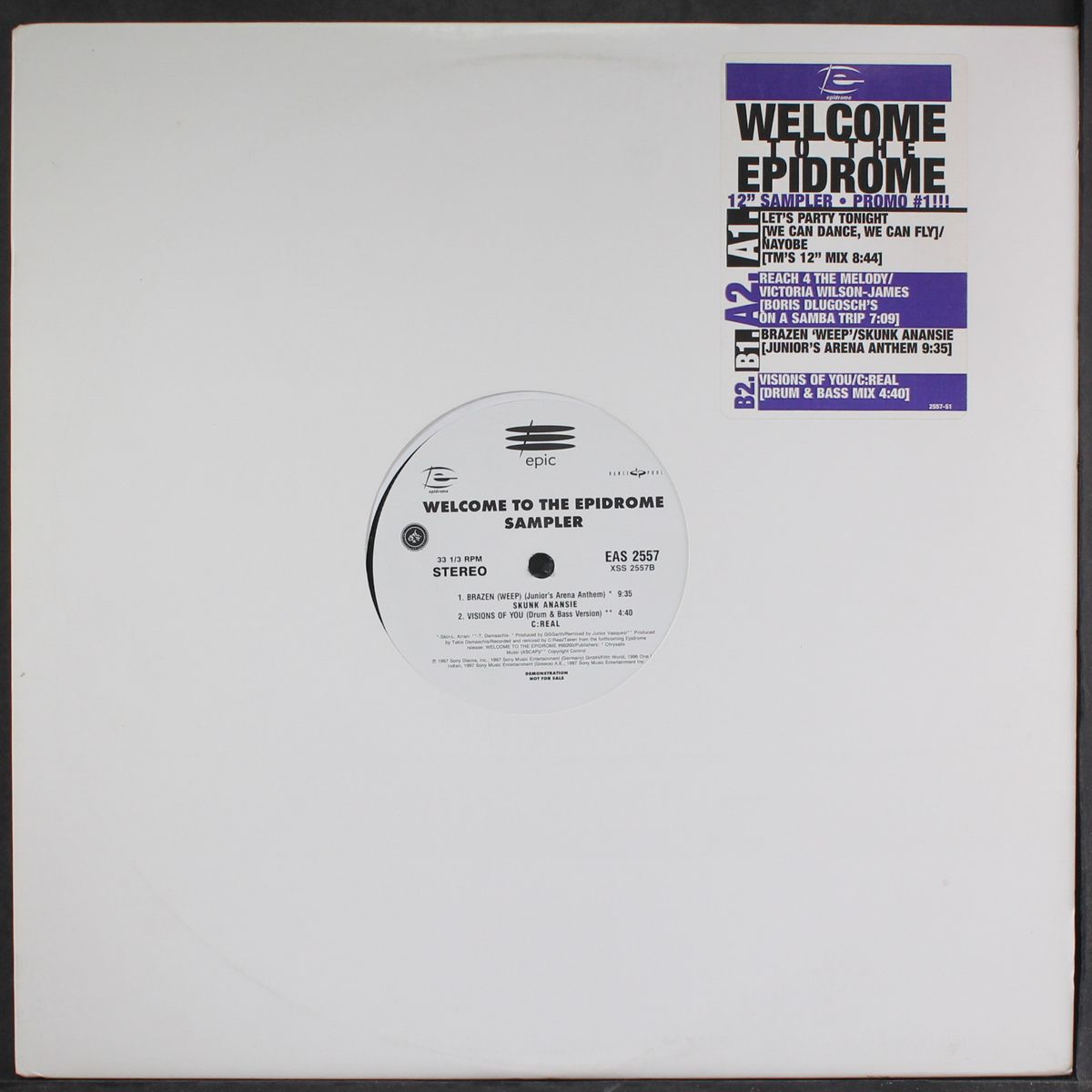 welcome to the epidrome sampler by VARIOUS