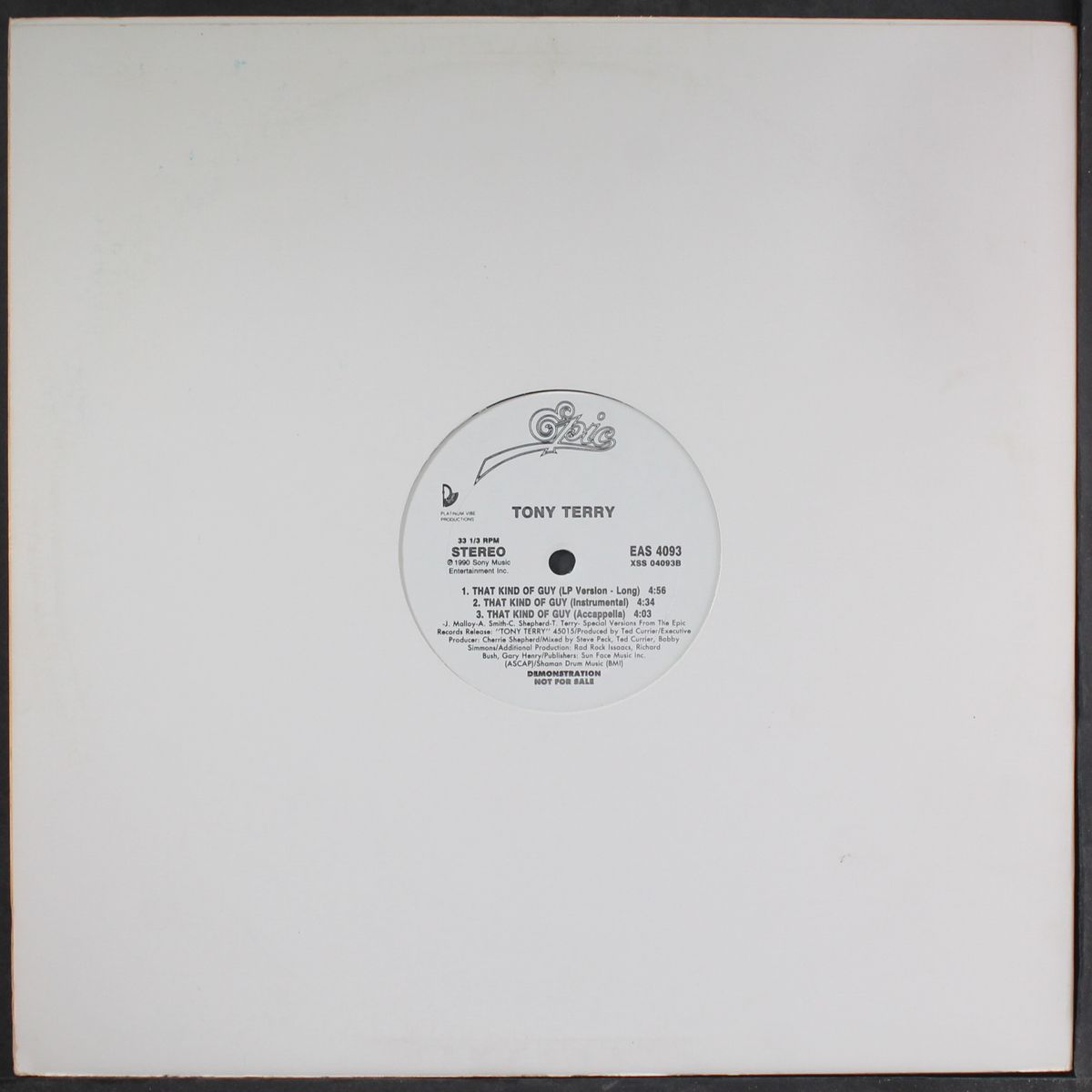 that kind of guy (remix) by TONY TERRY