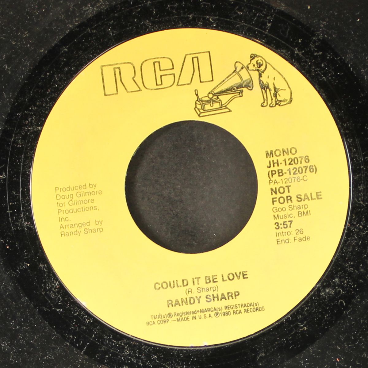 could it be love / mono by RANDY SHARP