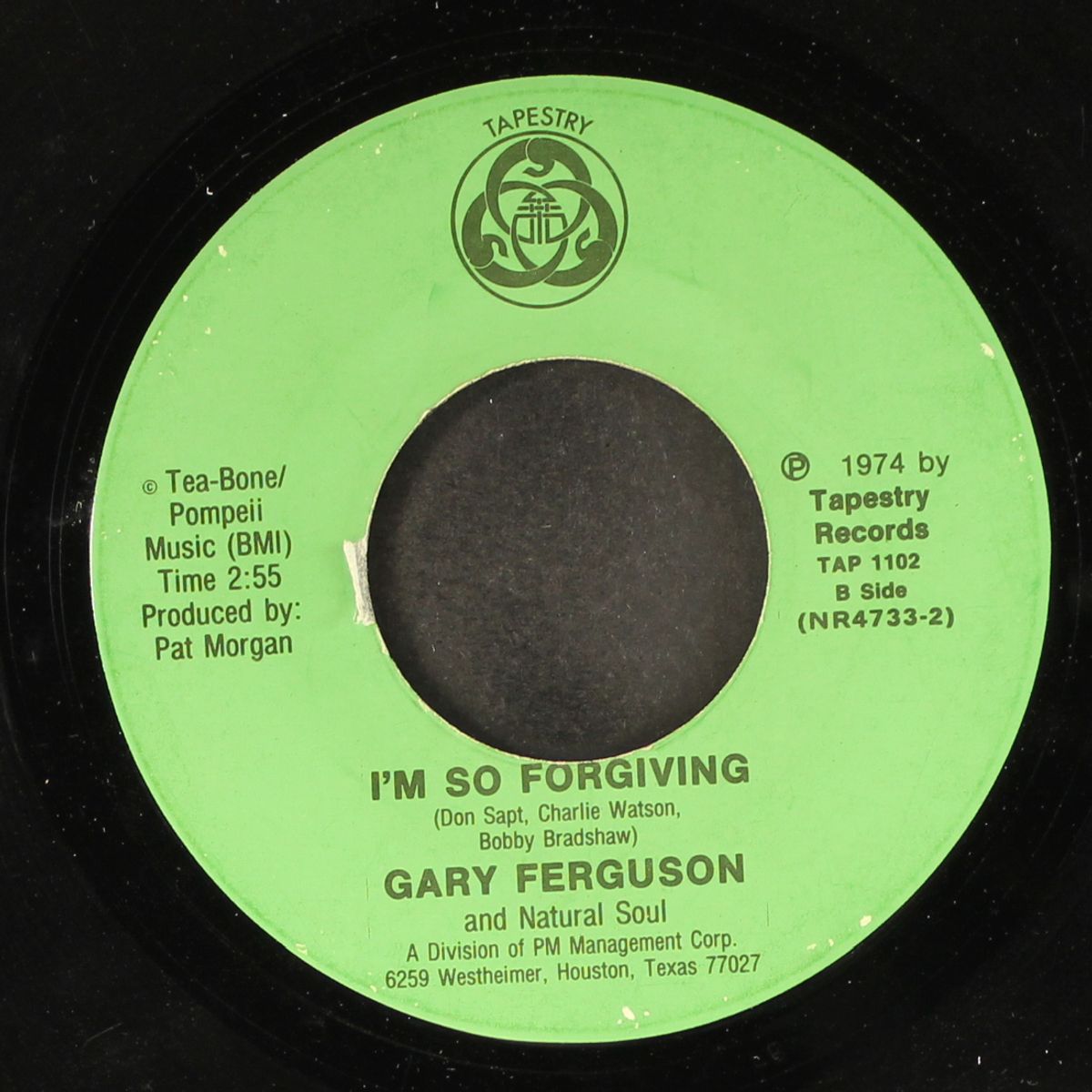 all i need is time / i'm so forgiving by GARY FERGUSON