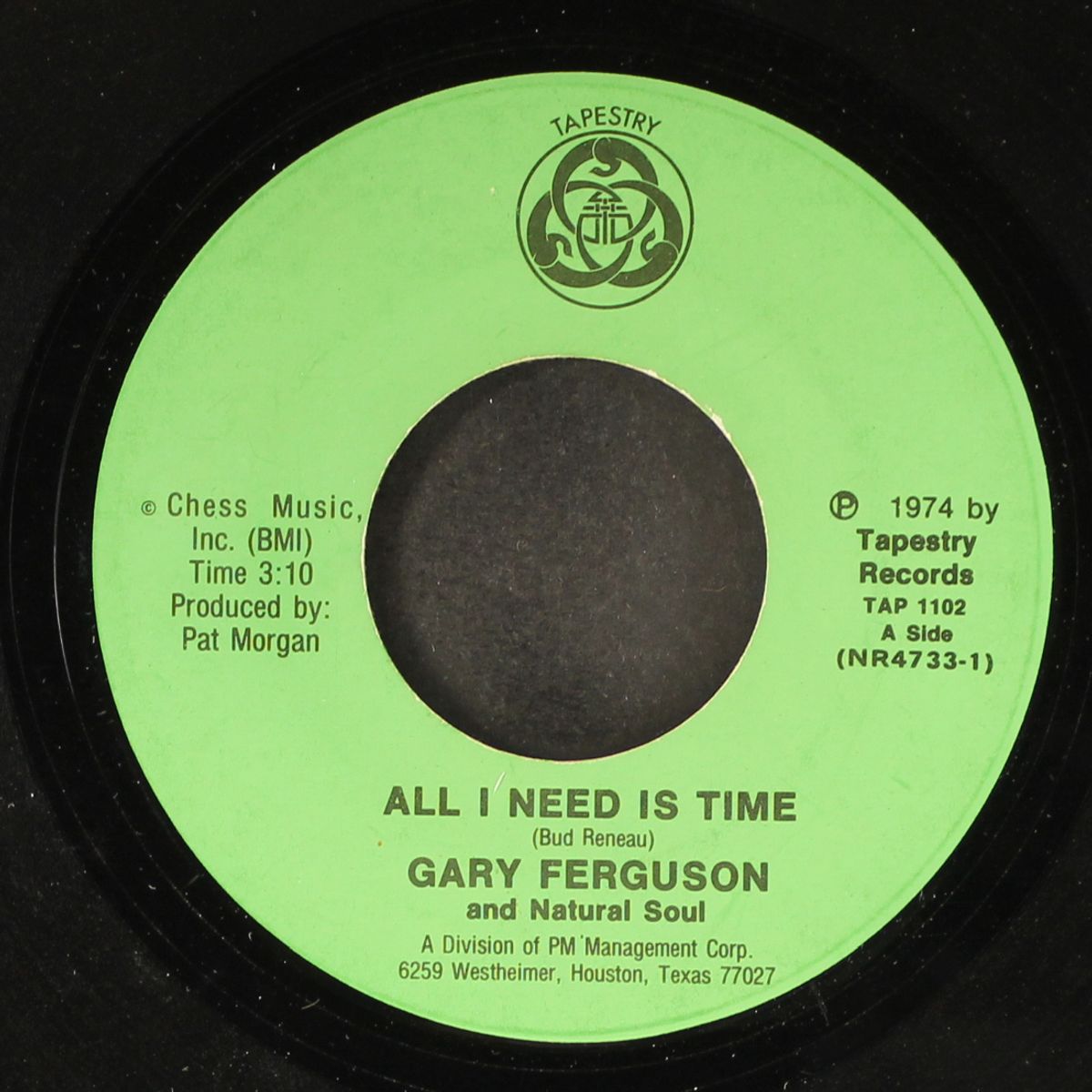 all i need is time / i'm so forgiving by GARY FERGUSON