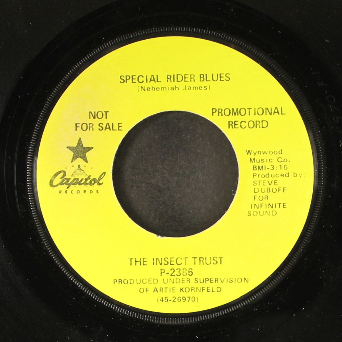 special rider blues / miss fun city by INSECT TRUST