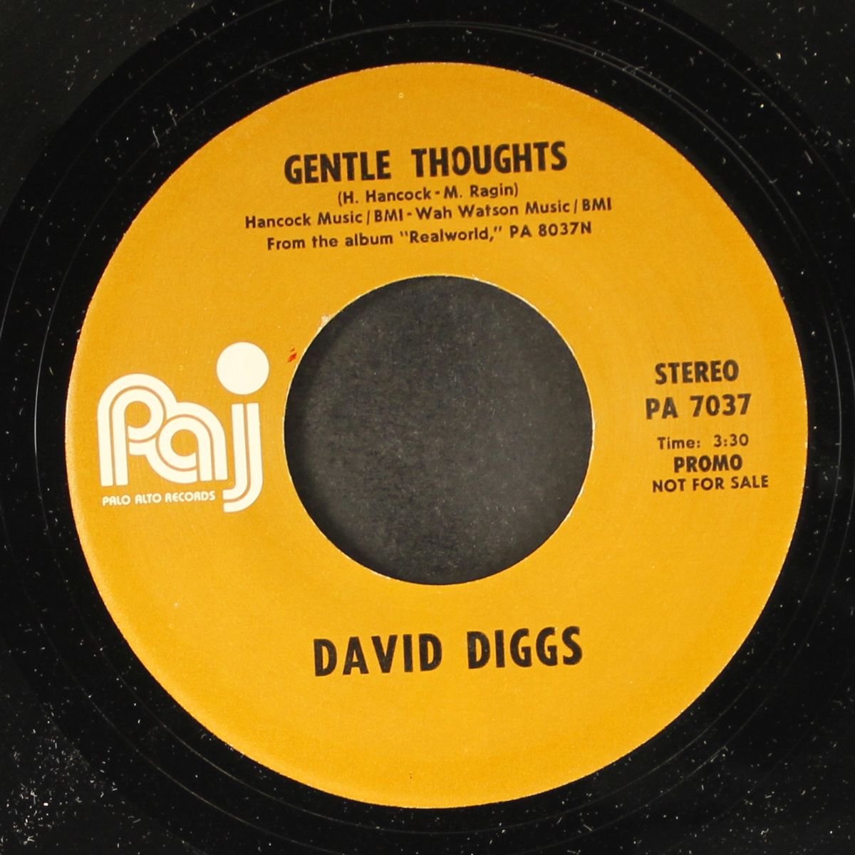 gentle thoughts by DAVID DIGGS