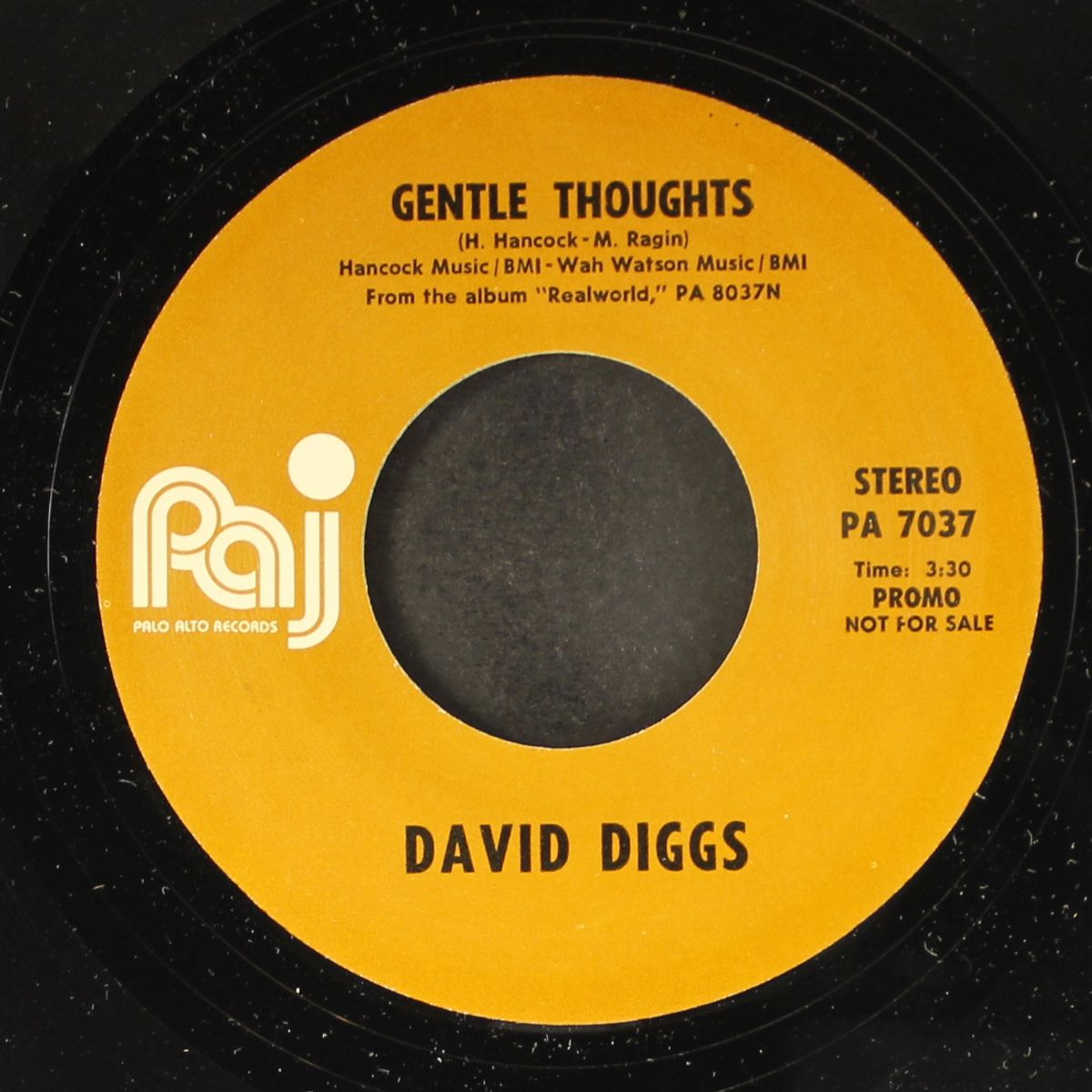gentle thoughts by DAVID DIGGS