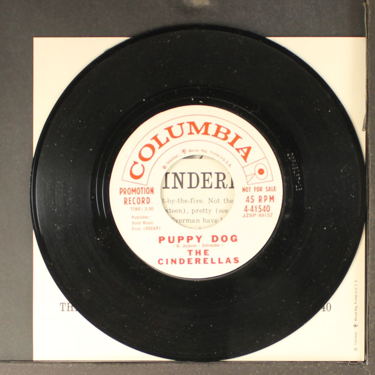 the trouble with boys / puppy dog by CINDERELLAS