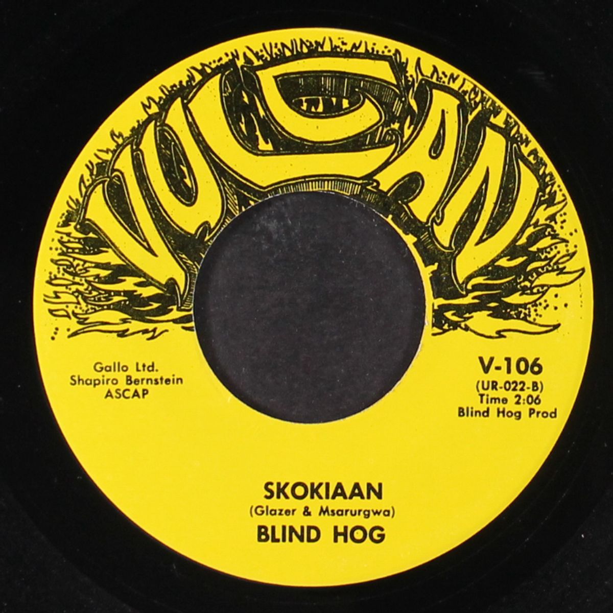 rockin' pneumonia & the boogie woogie flu by BLIND HOG